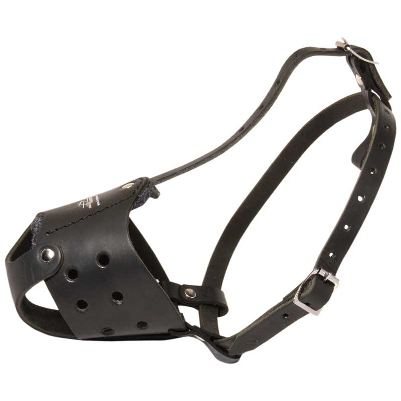 Universal in Use Everyday Leather Rottweiler Muzzle
