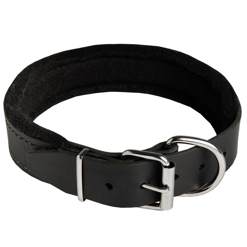 Comfortable Leather Rottweiler Collar Padded with Thick Felt
