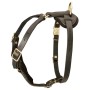 Padded Leather Rottweiler Harness Tracking Walking Dog Work