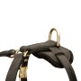 Padded Leather Rottweiler Harness with D-Ring