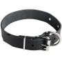 Personalized Leather Dog Buckle Collar Rottweiler Training Equipment