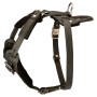 Professional Training Rottweiler Leather Dog Harness