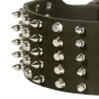 Rottweiler Collar with Spikes Studs