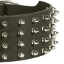 Rottweiler Dog Collar with Spikes