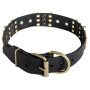 Rottweiler Wide Leather Dog Collar with Studs and Plates
