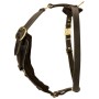 Rottweiler Harness Agitation Protection Dog Training