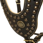 Rottweiler Harness Padded Studded Chest Plate