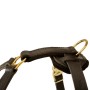 Rottweiler Harness with D-Ring for Leash Attachment