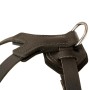Rottweiler Harness with D-Ring on Padded Back Plate