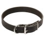Rottweiler Leather Dog Collar Buckle