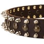 Rottweiler Leather Dog Collar with Spikes Studs