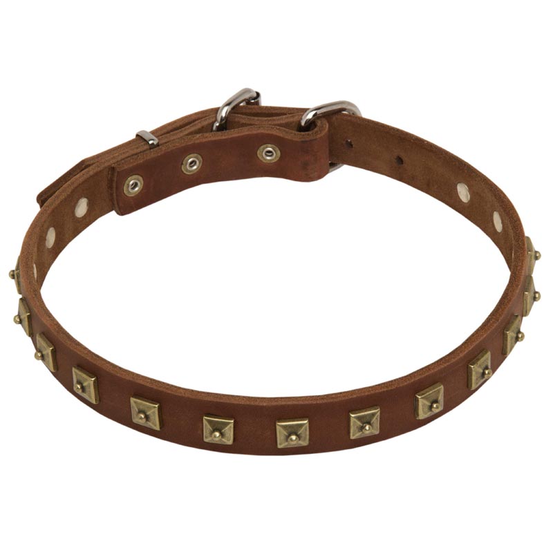 1 Inch Studded Leather Rottweiler Collar for Everyday Walking