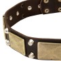 Rottweiler Leather Studded Dog Collar with Plates