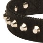 Rottweiler Nylon Dog Collar with Studs