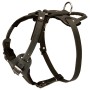 Rottweiler Harness for Off Leash Training