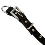 Rottweiler Spiked Dog Collar Rust Proof Hardware