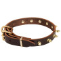 Rottweiler Spiked Leather Collar Dog Store