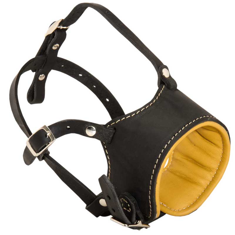 Anti-Barking Nappa Padded Leather Dog Muzzle for Rottweiler