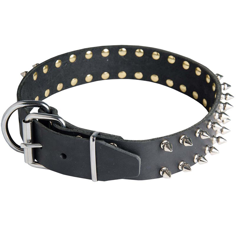 Leather Rottweiler Collar with 2 Rows of Nickel Plated Spikes