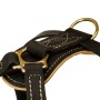 Stitched Padded Back Plate on Leather Dog Harness for Rottweiler