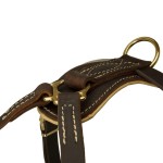 Stitched Padded Back Plate on Brown Leather Dog Harness for Rottweiler