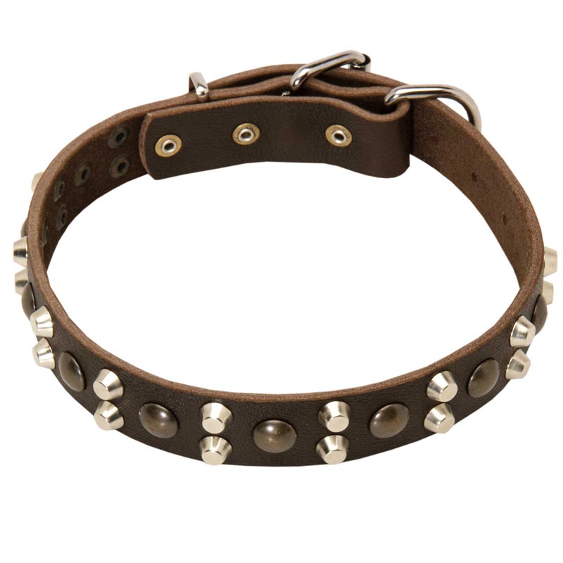 Designer Studded Leather Dog Collar for Rottweiler