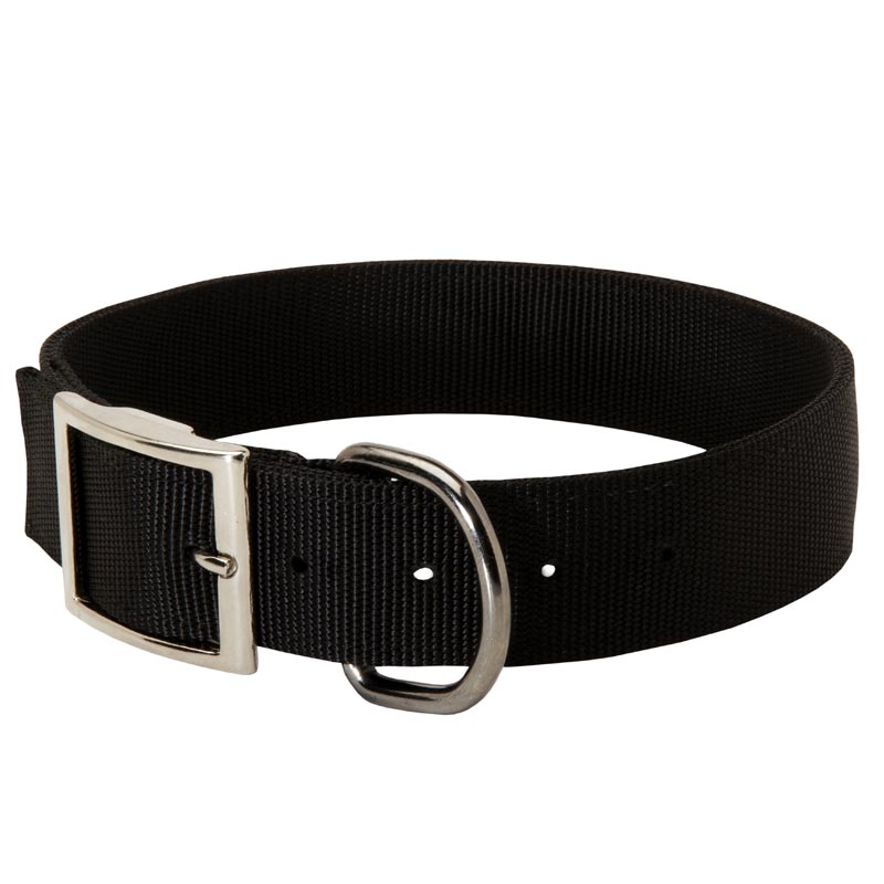 Simple Design Nylon Dog Collar for Rottweiler