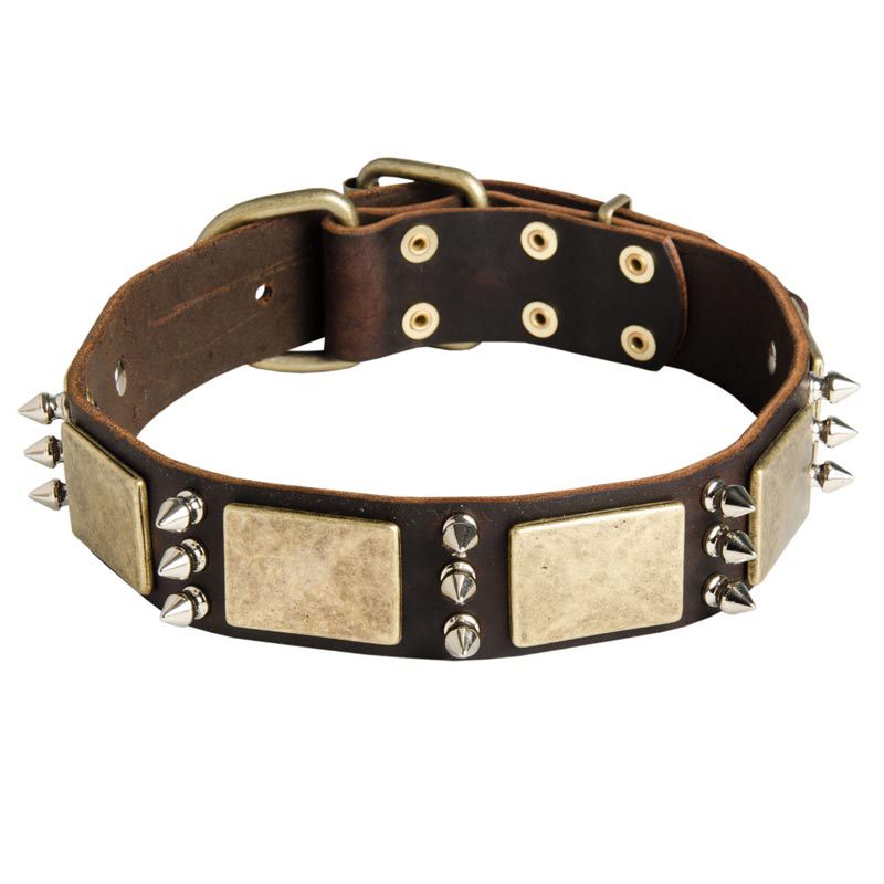 War Design Leather Rottweiler Collar Decorated with Massive Plates and Spikes