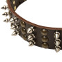 Strong Spiked Sudded Leather Dog Collar Rottweiler