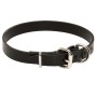 Training Dog Buckle Collar Rottweiler