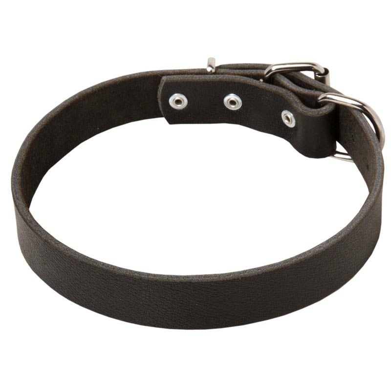 High Quality Leather Dog Collar for Rottweiler Walking and Training