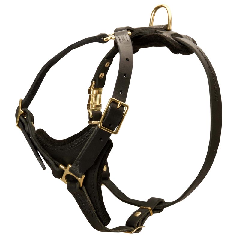 Tracking Walking Leather Rottweiler Harness