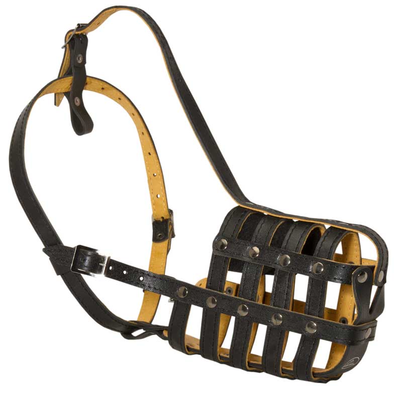 Walking Rottweiler Muzzle Leather Cage