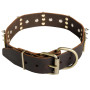 Walking Spiked Leather Dog Buckle Collar Rottweiler Supplies