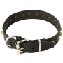 Walking Studded Leather Dog Buckle Collar Rottweiler