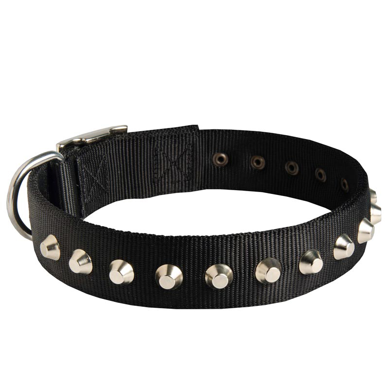 Gorgeous Wide Nylon Rottweiler Collar with Nickel Pyramids