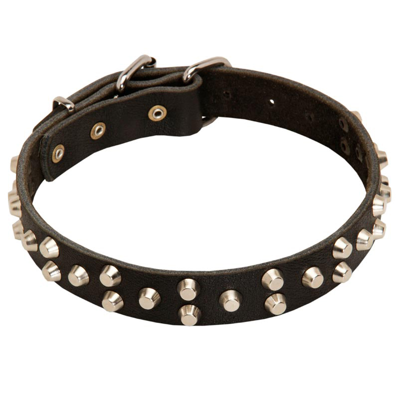 Beautiful Leather Rottweiler Collar with 3 Rows of Nickel Plated Studs