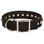 Wide Nylon Dog Buckle Collar Rottweiler Walking Training