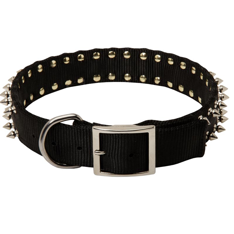 Premium Quality Nylon Rottweiler Collar with 2 Rows Of Spikes