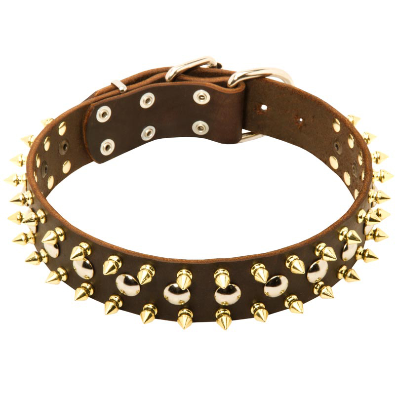 Extraordinary Leather Spiked and Studded Rottweiler Collar