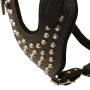 Y Shaped Studded Chest Plate on Harness for Rottweiler Dog Store